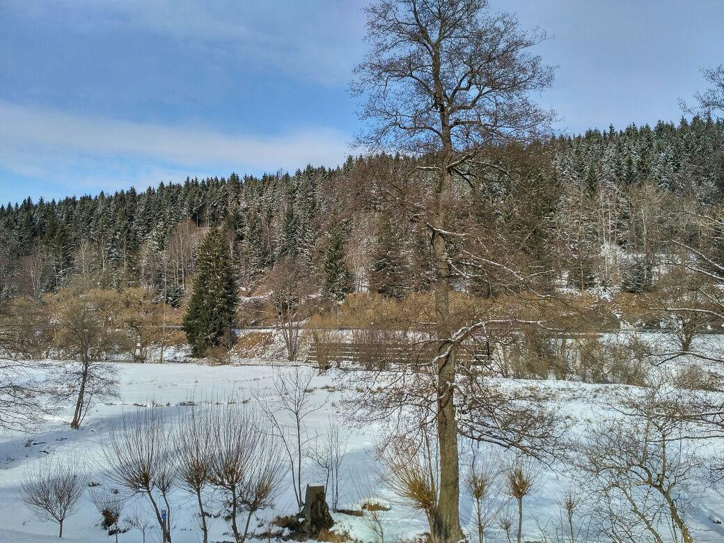 Ferienwohnung Rathke Sorge Luaran gambar